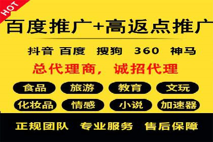 专业SEM服务公司案例分析报告
